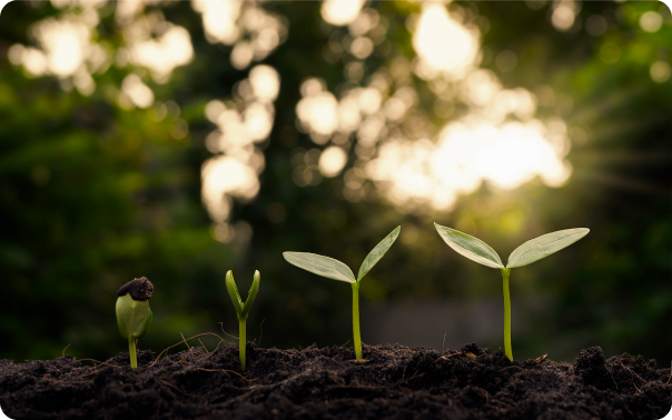 Sustainable Development