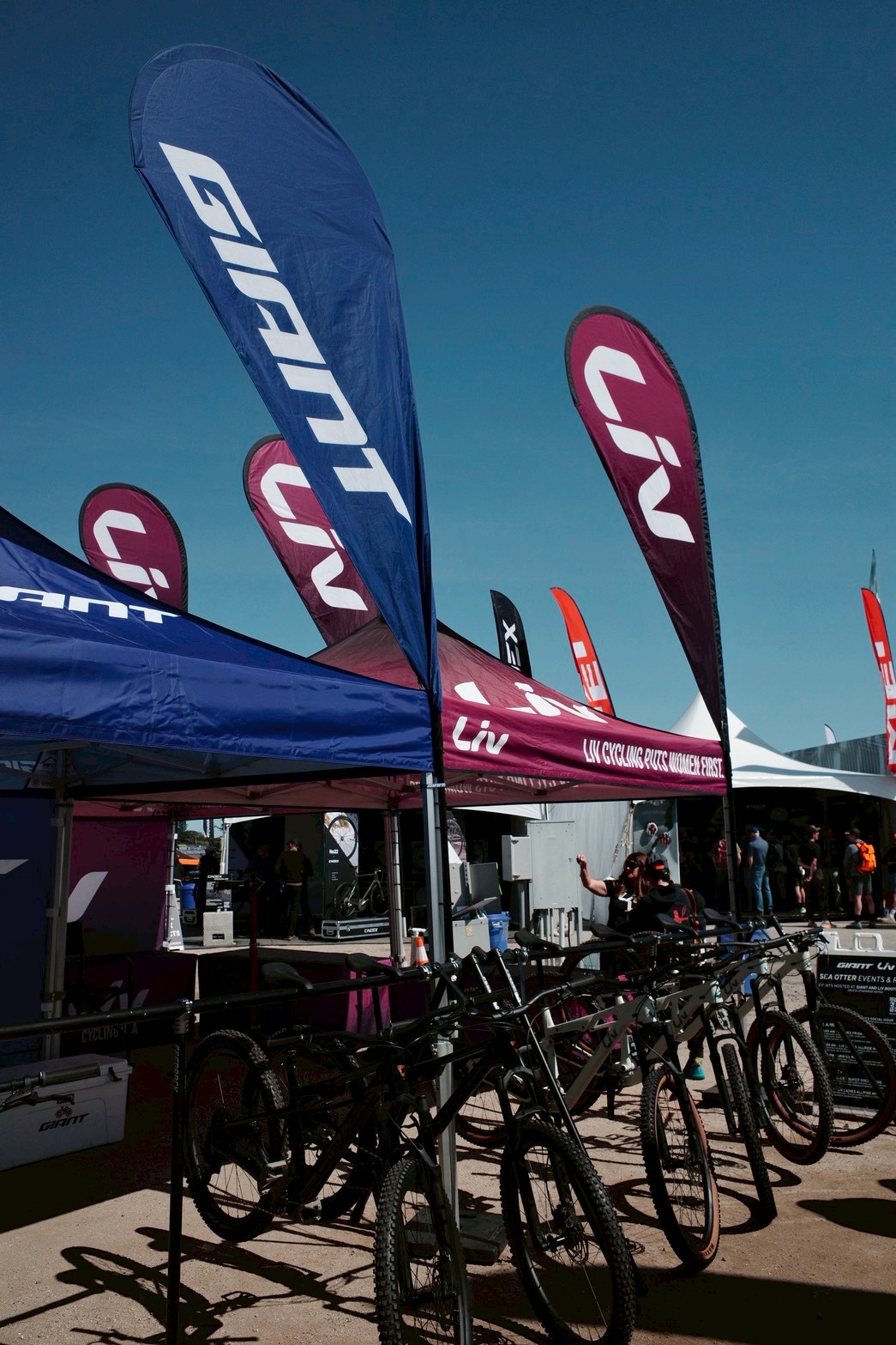 We were in Sea Otter Classic! - Image 5